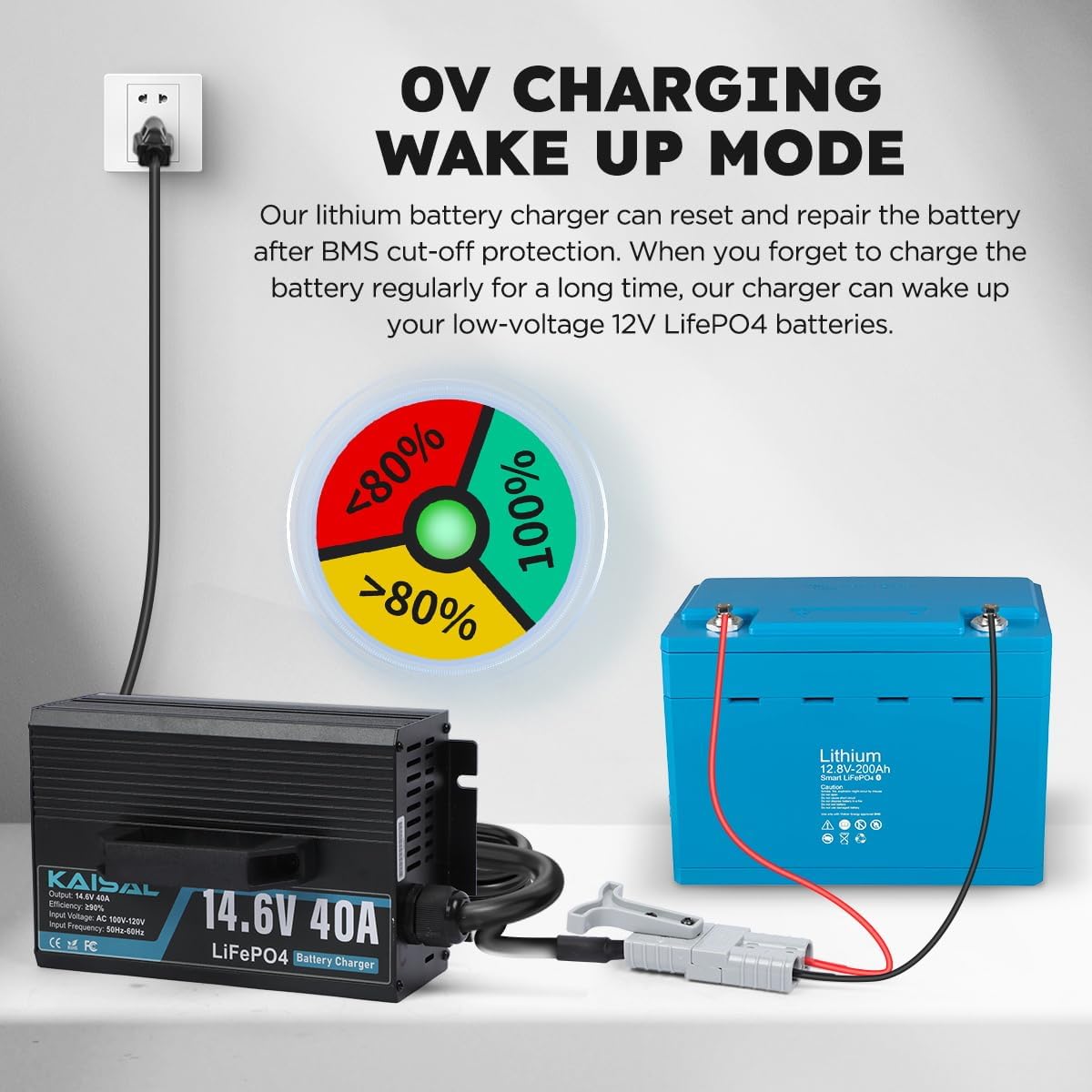 12V 40A Lithium Battery Charger 14.6V LiFePO4 Battery Charger for 12.8V LiFePO4 Lithium Deep Cycle Rechargeable Batteries 0V Wake Up 12 Volt Charger with 2 Connectors for RV, Boat, Car, Marine, Solar