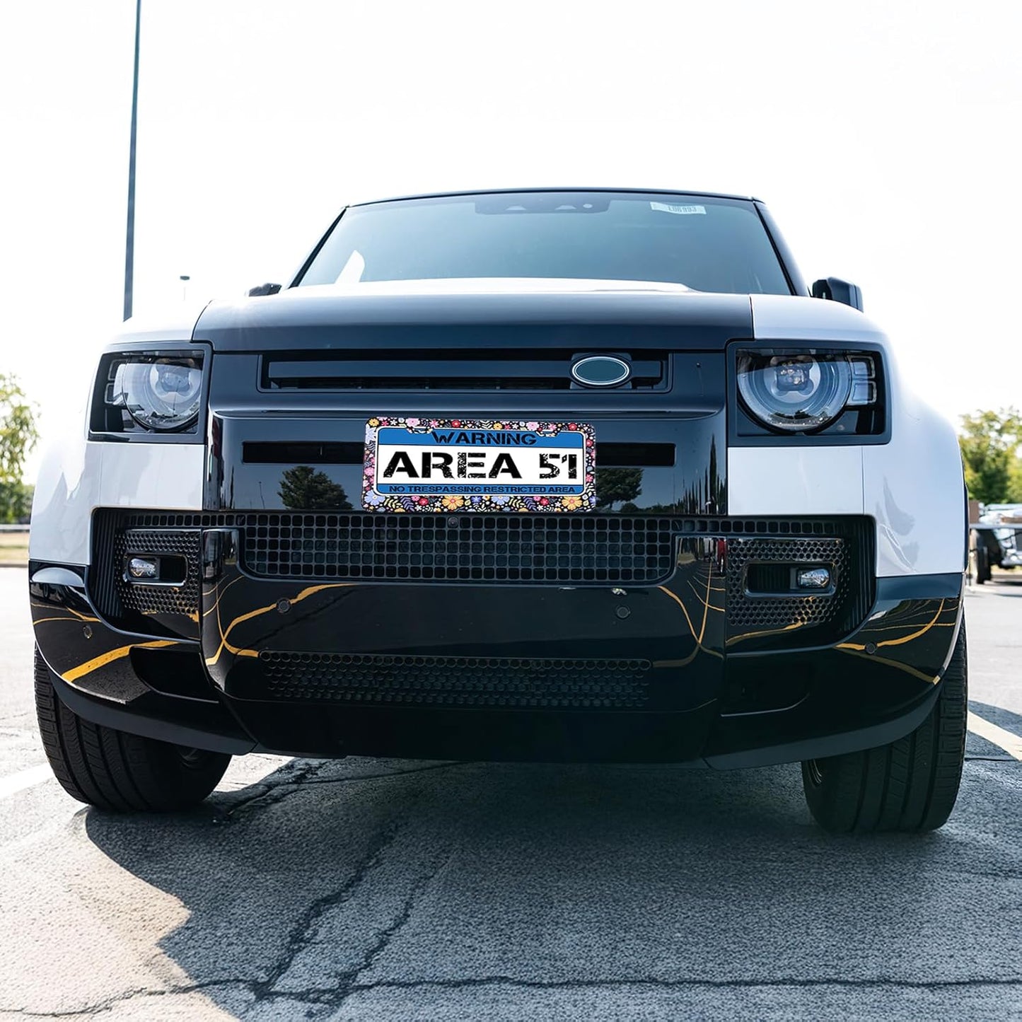 Flower License Plate Frame 2 Pcs Personalized Colorful Floral License Plate Frames with 2 Holes Screws Stainless Steel Car Plates Frame Universal Size: 12.4x6.3in Auto Parts Decoration