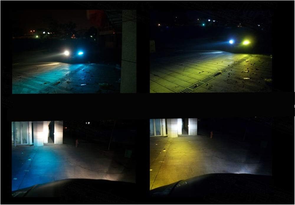 12 by 48 Inches Self Adhesive Headlight, Tail Lights, Fog Lights Tint Vinyl Film with Knife and Hand Tool (Green)