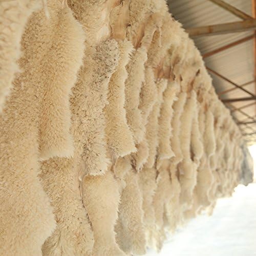 Fluffy Genuine Sheepskin Car Seat Cover for Auto Fuzzy Interior Accessories Cushion with Soft Wool Natural Fur Non-Slip (Pearl, Back)