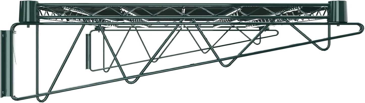24" x 36" Green Epoxy Wire Wall Mount Shelf