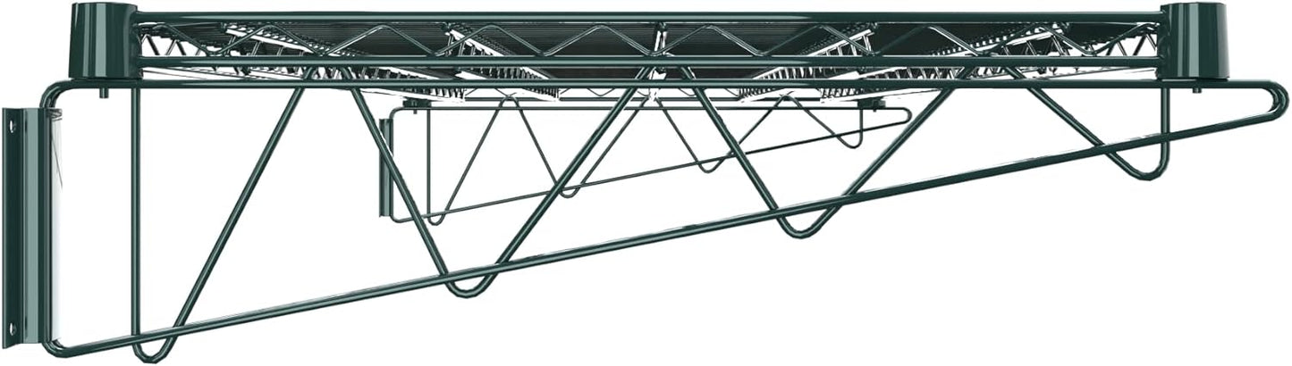 24" x 48" Green Epoxy Wire Wall Mount Shelf
