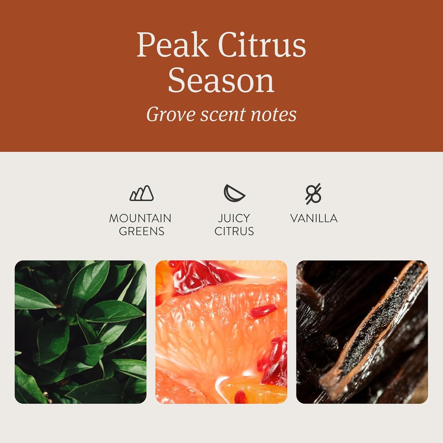 drift Car Air Freshener - Wood Air Freshener - Car Odor Eliminator - Grove Scent Starter Kit Black