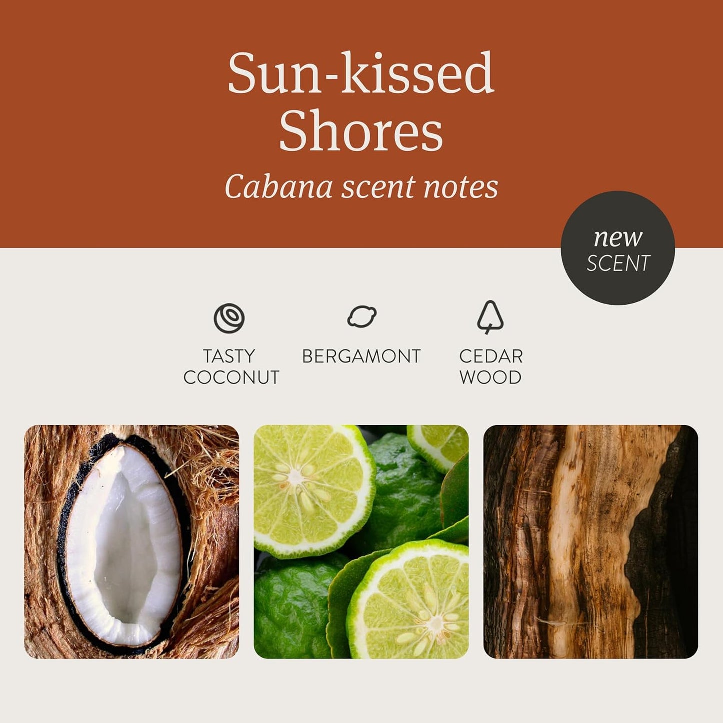 Drift Car Air Freshener - Wood Air Freshener - Car Odor Eliminator - Cabana Scent Starter Kit