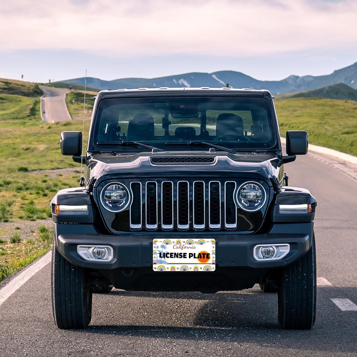 Gay Rainbow License Plate Frame Pride License Plate Holder Cartoon for Front or Rear Car Tags Stainless Steel Funny Car Decoration with Screws 6.3 X 12.2 in